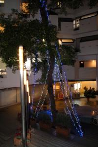 ビラモデルナ ビラモデルナ