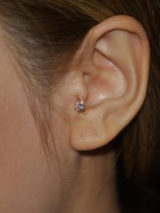 トラガス トラガス