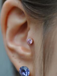 トラガス トラガス