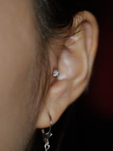 トラガス トラガス