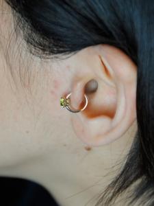 トラガス トラガス