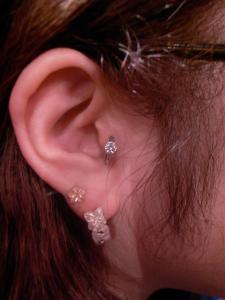 トラガス トラガス