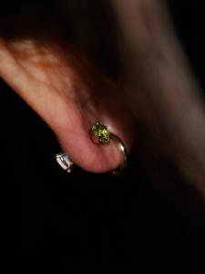 ダブルジュエリー ダブルジュエリー