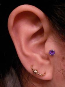 オービタル オービタル