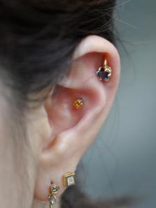 Conch Conch