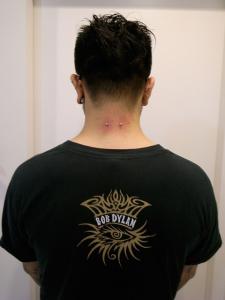 ボク・ディラン ボク・ディラン