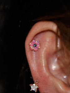 へリックス へリックス