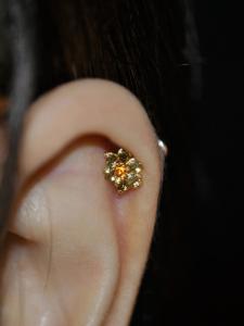 オーダーメイド オーダーメイド