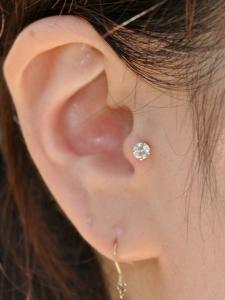 トラガス トラガス