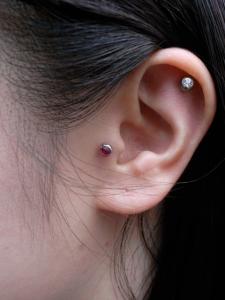 トラガス トラガス