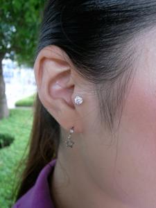 トラガス トラガス