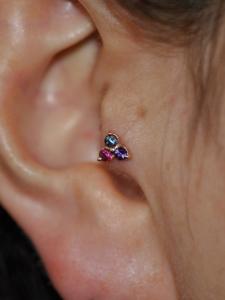 トラガス トラガス