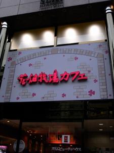 花畑牧場 花畑牧場