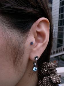 トラガス トラガス