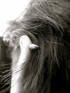 スパイク スパイク