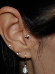 トラガス トラガス