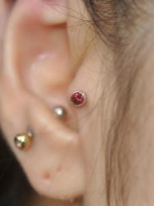 トラガス トラガス