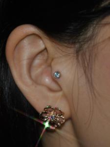 トラガス トラガス