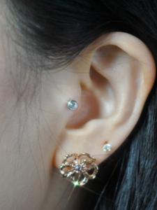 トラガス トラガス