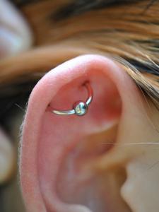 軟骨オービタル 軟骨オービタル