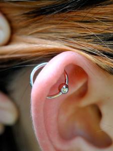 軟骨オービタル 軟骨オービタル