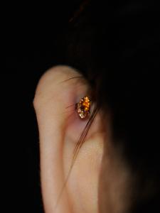 シトリン シトリン