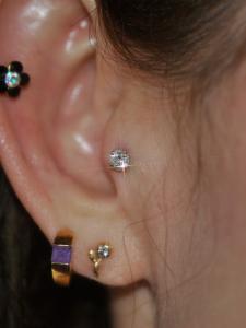 トラガス トラガス