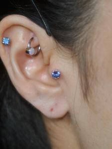 トラガス トラガス