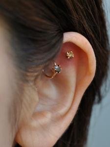 ブラウンダイヤモンド ブラウンダイヤモンド