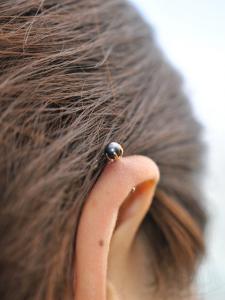 ブラックパール ブラックパール