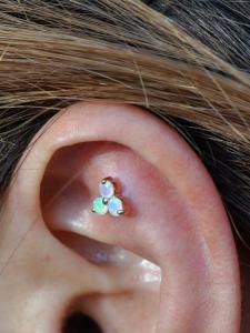 3 Stone Trident 3 Stone Trident