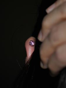 ピンクジルコニア ピンクジルコニア