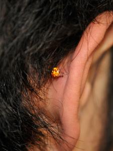 シトリン シトリン