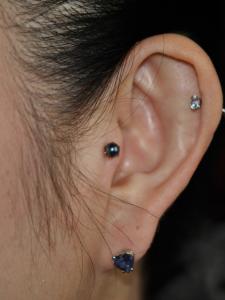 ブラックパール ブラックパール