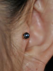 黒蝶貝パール 黒蝶貝パール