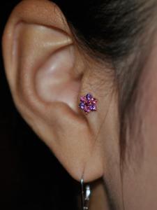 トラガス トラガス