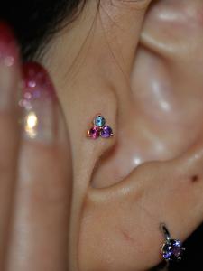 トラガス トラガス