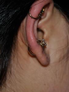 オービタル オービタル