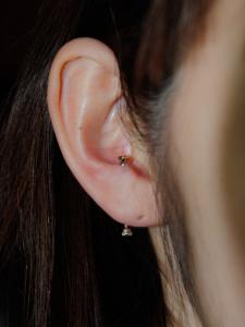 トランスバースイヤーガス トランスバースイヤーガス