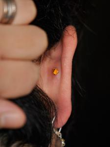 シトリン シトリン