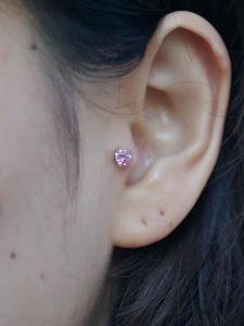 ピンクジルコニア ピンクジルコニア