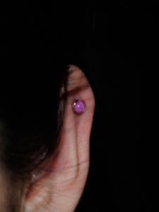 スタールビー スタールビー