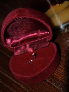 プラチナ ノストリル プラチナ ノストリル