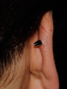 とんがりアベック とんがりアベック