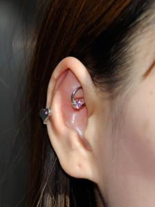 ピンクジルコニア ピンクジルコニア