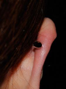 とんがりアベック とんがりアベック