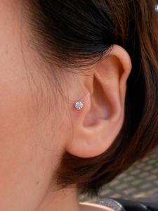 夏のヨハンソン 夏のヨハンソン