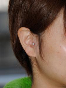 トラガス トラガス