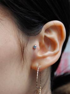 トラガス トラガス