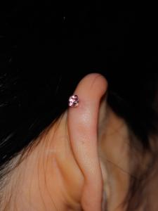 ピンクサファイア ピンクサファイア